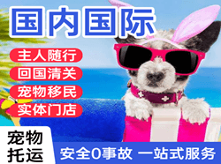 普宁空运公司国际宠物托运 【国